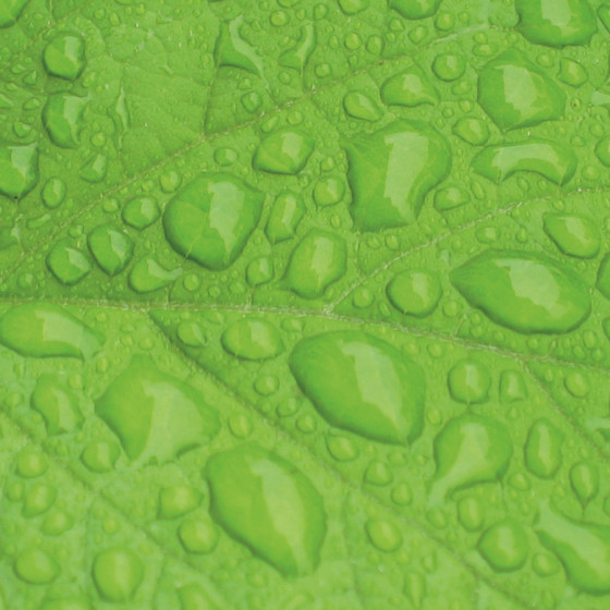 Mang. verd per a aire de 8 mm
